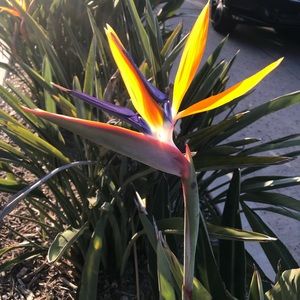 Meet your Posher, Kaytianne